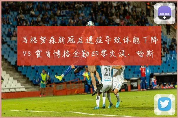 马格努森新冠后遗症导致体能下降 vs 霍肯博格全勤却零失误，哈斯车手耐久度对比