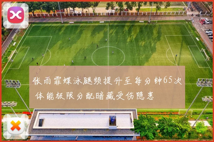张雨霏蝶泳腿频提升至每分钟65次 体能极限分配暗藏受伤隐患